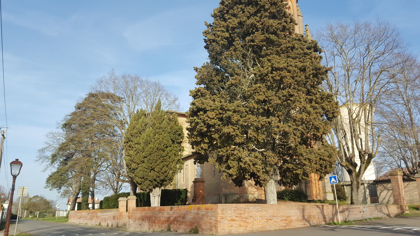 avant sur le côté parvis