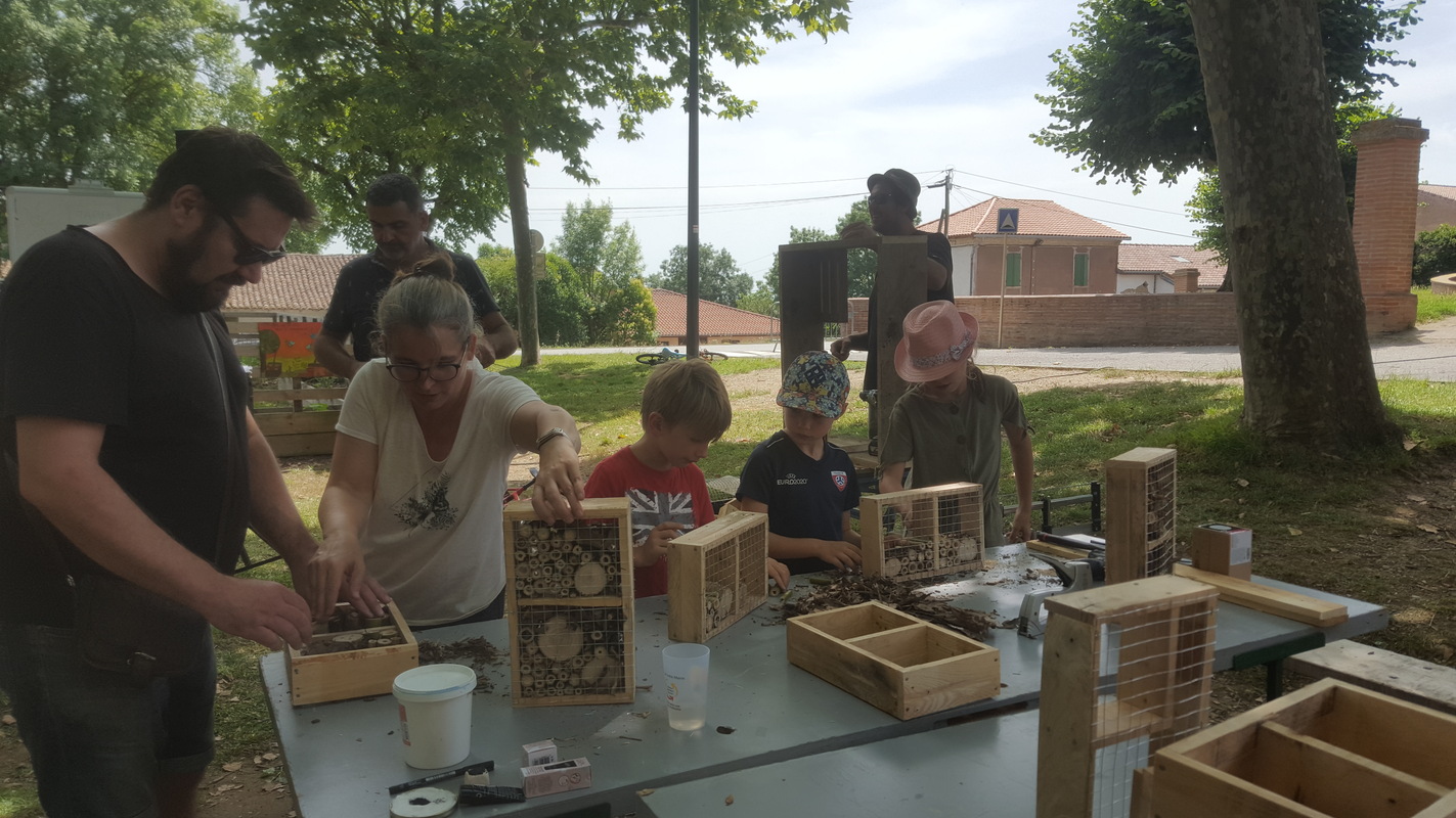 construction des hôtels à insectes