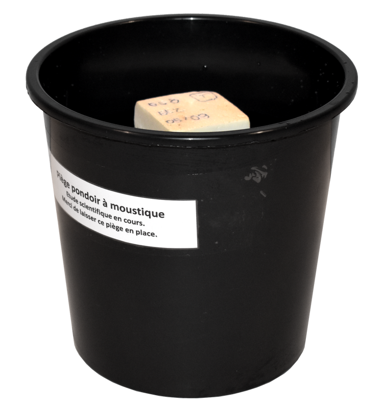 piege_moustique_tigre