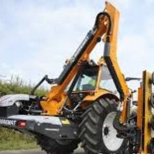 Saint-Thomas : élagage