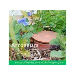 Saint-Thomas : OYAS A LA VENTE