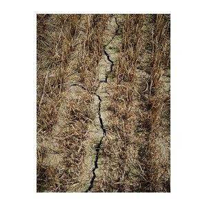 Saint-Thomas : Arrêté pour la sécheresse agricole 2022