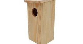 Saint-Thomas : Bilan des nichoirs