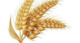 Saint-Thomas : Messe à la chapelle