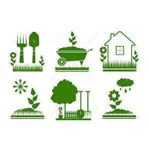 Saint-Thomas : JARDIN PARTAGE