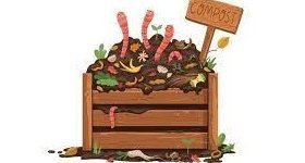 Saint-Thomas : Décret relatif aux biodéchets