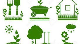 Saint-Thomas : JARDIN PARTAGE