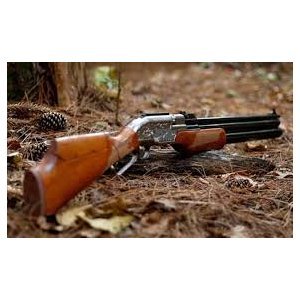 Saint-Thomas : Déclaration des armes